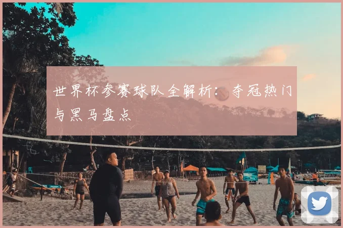 世界杯参赛球队全解析：夺冠热门与黑马盘点