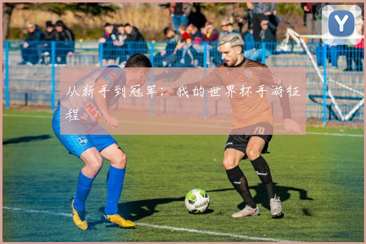 从新手到冠军：我的世界杯手游征程