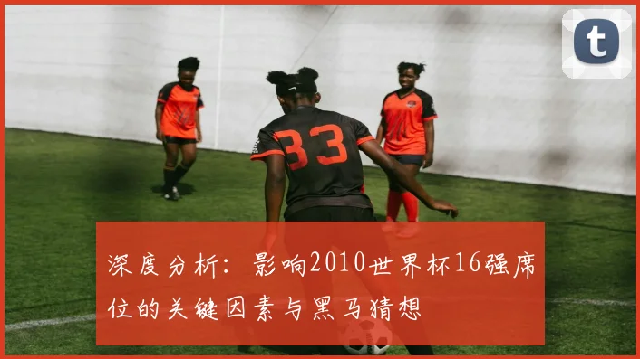 深度分析:影响2010世界杯16强席位的关键因素与黑马猜想