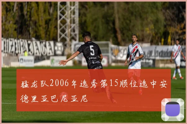 猛龙队2006年选秀第15顺位选中安德里亚巴尼亚尼