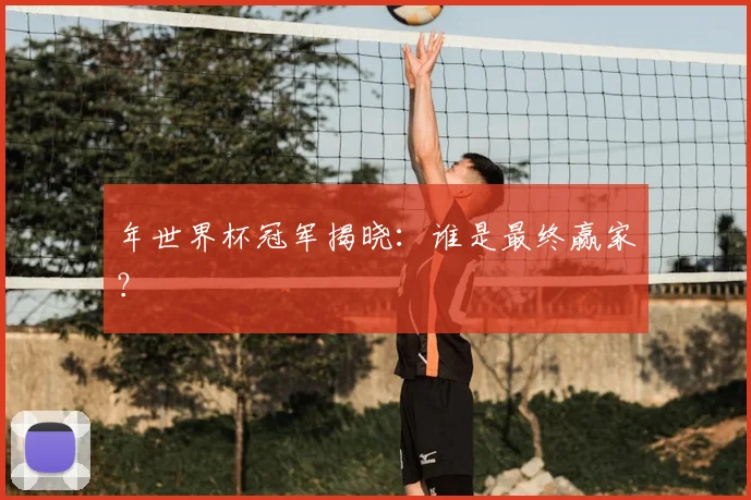 年世界杯冠军揭晓:谁是最终赢家?