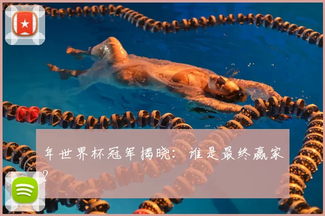 年世界杯冠军揭晓:谁是最终赢家?