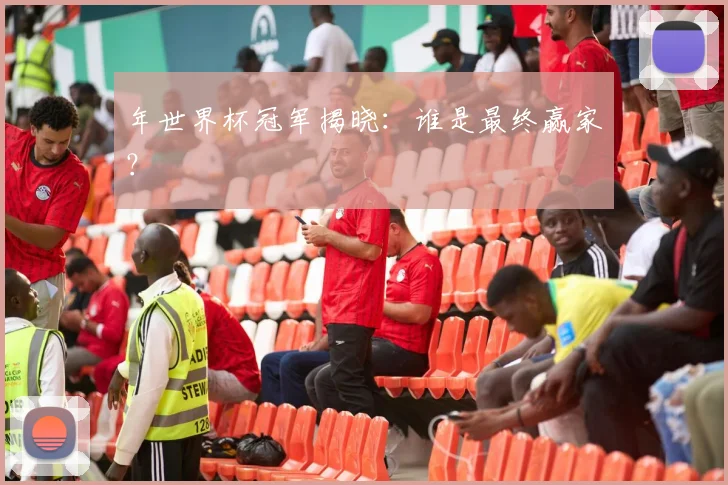 年世界杯冠军揭晓：谁是最终赢家？
