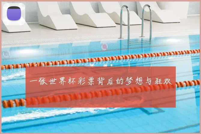 一张世界杯彩票背后的梦想与狂欢