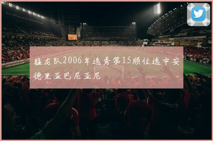 猛龙队2006年选秀第15顺位选中安德里亚巴尼亚尼
