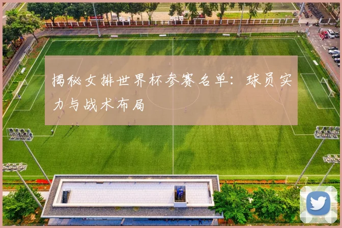 揭秘女排世界杯参赛名单:球员实力与战术布局