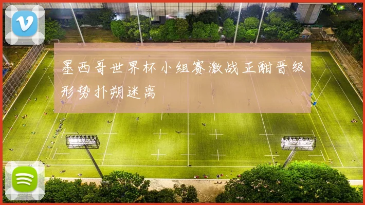 墨西哥世界杯小组赛激战正酣晋级形势扑朔迷离