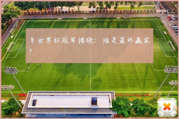 年世界杯冠军揭晓:谁是最终赢家?