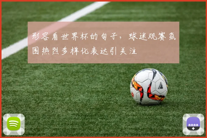 形容看世界杯的句子,球迷观赛氛围热烈多样化表达引关注