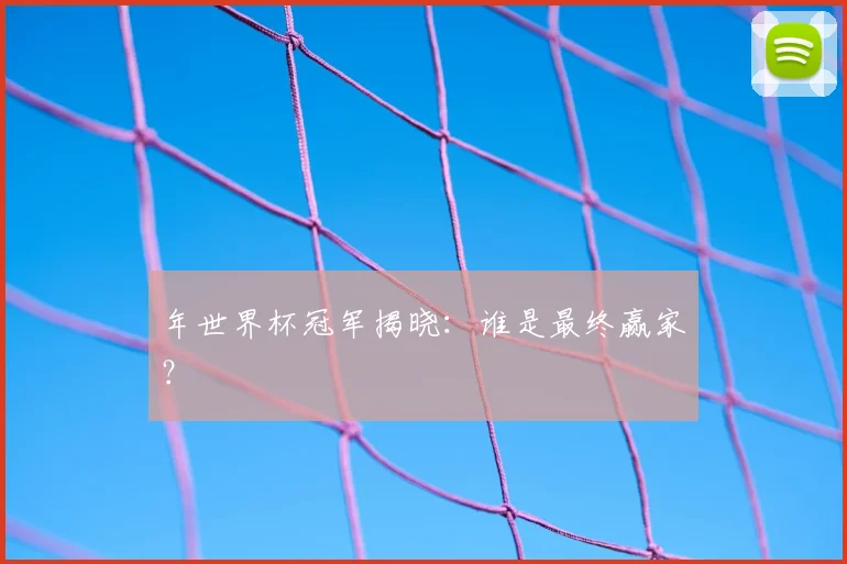 年世界杯冠军揭晓:谁是最终赢家?