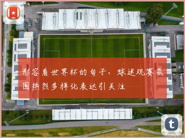 形容看世界杯的句子,球迷观赛氛围热烈多样化表达引关注