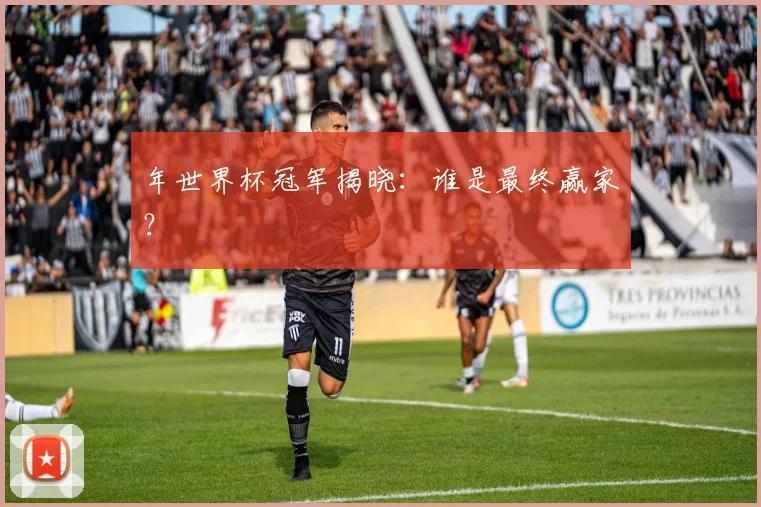 年世界杯冠军揭晓:谁是最终赢家?