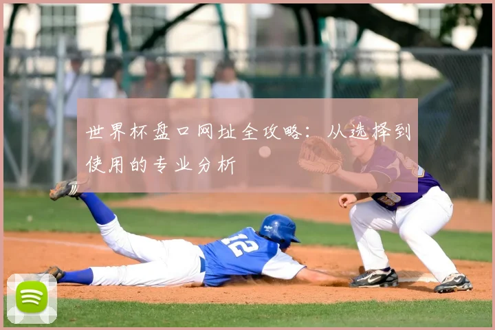 世界杯盘口网址全攻略：从选择到使用的专业分析