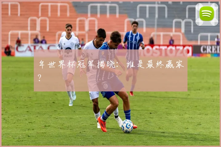 年世界杯冠军揭晓:谁是最终赢家?