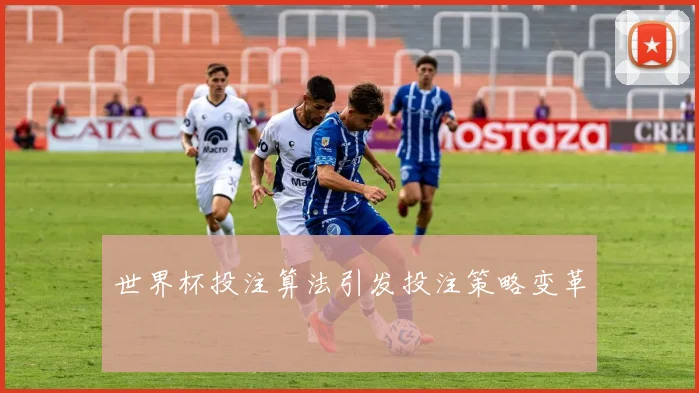 世界杯投注算法引发投注策略变革